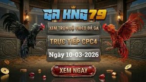 GAKING79 Xem Full Clip Da Ga Truc Tiep CPC4 Ngay 10032026 1
