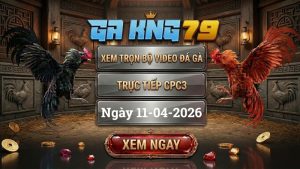 Xem Full Clip Đá Gà Trực Tiếp CPC3 Ngày 11/04/2026