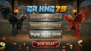 Xem Full Video Đá Gà CPC4 28/5/2026