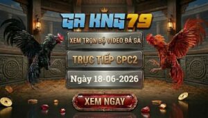 Xem Full Video Đá Gà CPC2 Ngày 18/06/2026 Tại GAKING79
