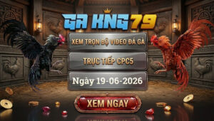 Xem Full Video Đá Gà CPC5 19/6/2026 tại GAKING79